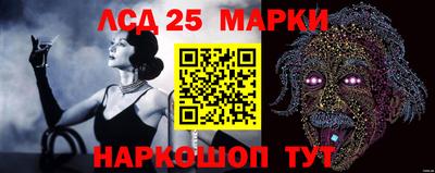 шишки Краснознаменск