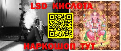 шишки Краснознаменск