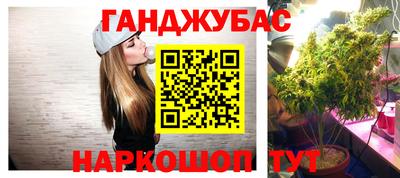 шишки Краснознаменск