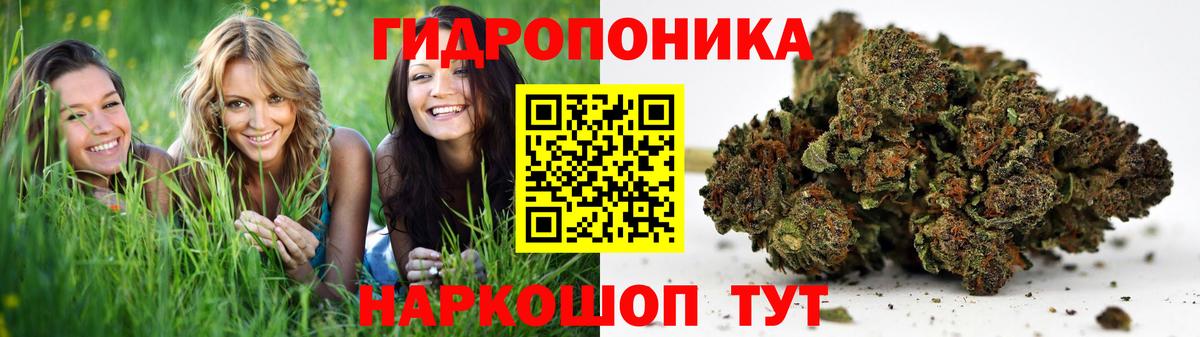 Галлюциногенные грибы Арзамас